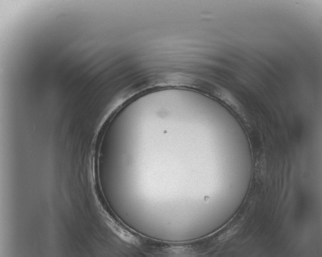 X0000068311130200604281728