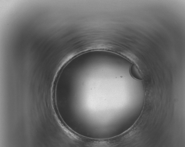 X0000068311135200604281728