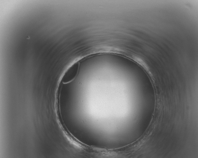 X0000068311136200604281729