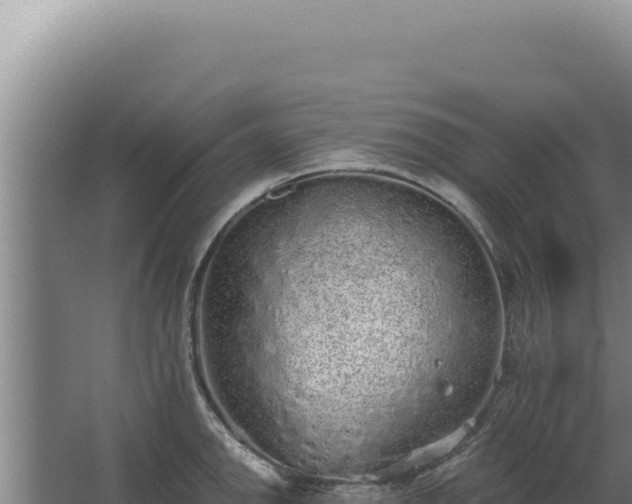 X0000068311142200604281729