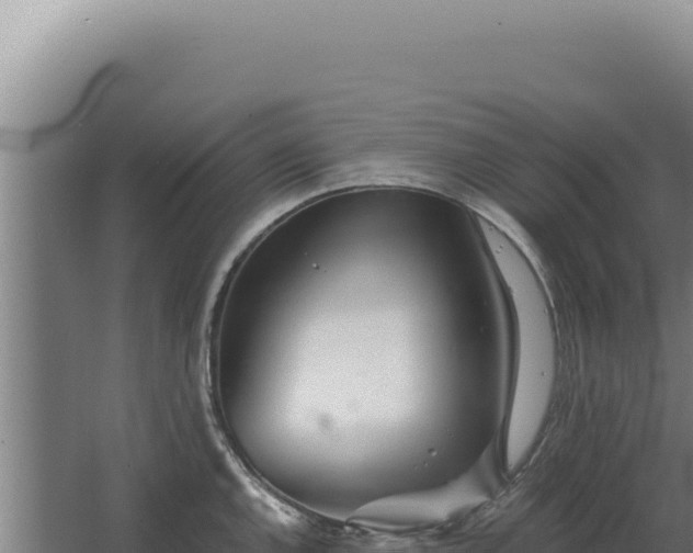 X0000068311144200604281729