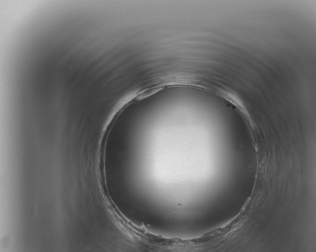 X0000068311146200604281729