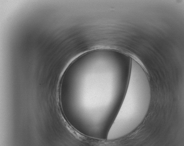 X0000068311148200604281729