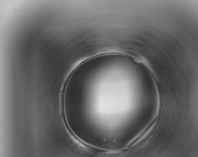 X0000068311151200604281729