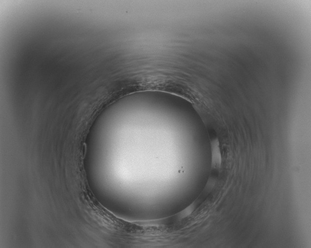 X0000068311153200604281728