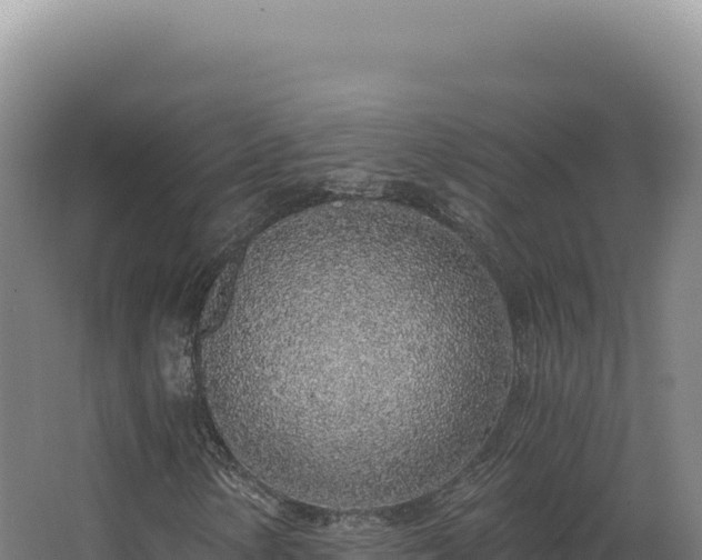 X0000068311154200604281728