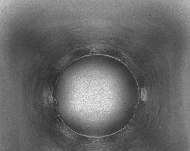 X0000068311155200604281728