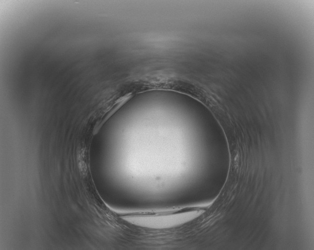 X0000068311156200604281728