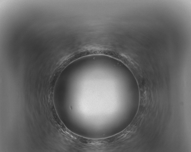 X0000068311157200604281728