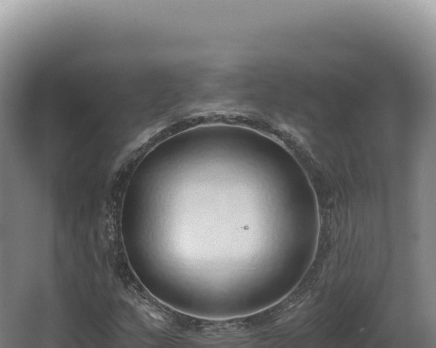 X0000068311159200604281728