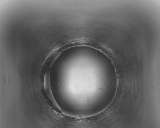 X0000068311160200604281728