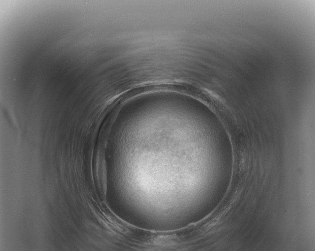 X0000068311161200604281728