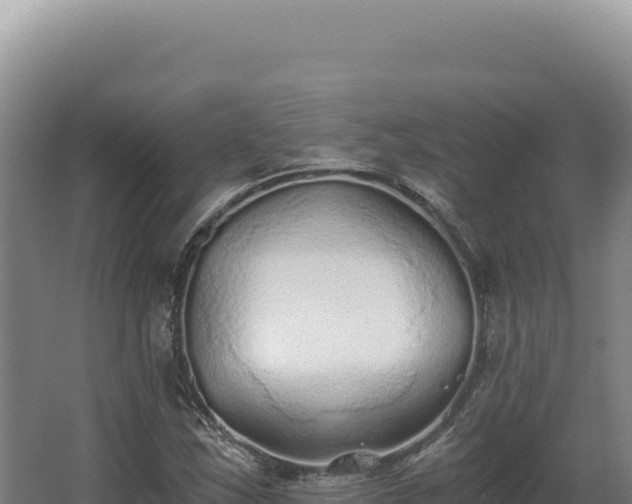 X0000068311163200604281728