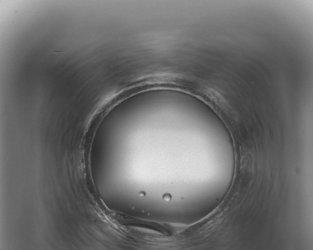 X0000068311164200604281728