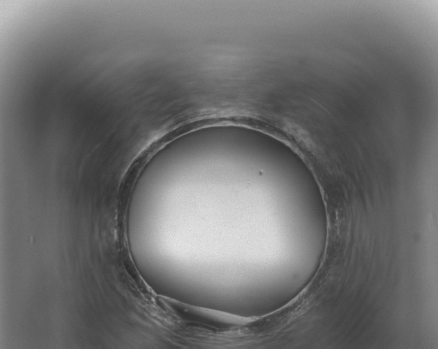 X0000068311165200604281728