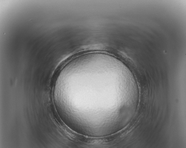 X0000068311166200604281728