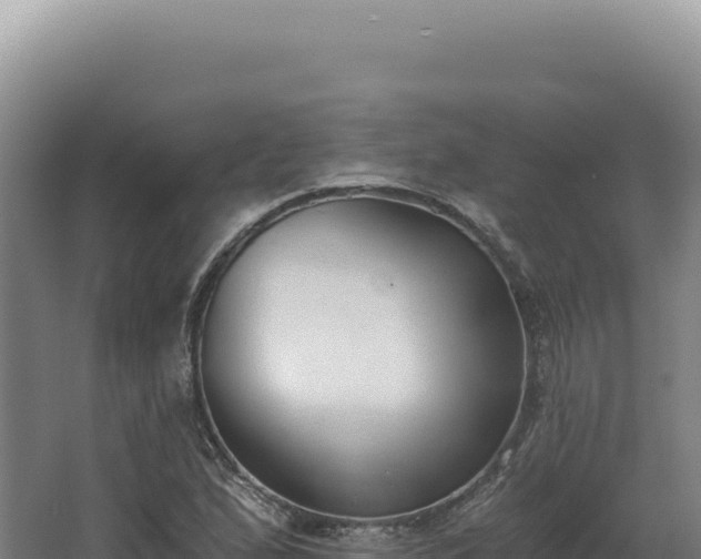 X0000068311167200604281728