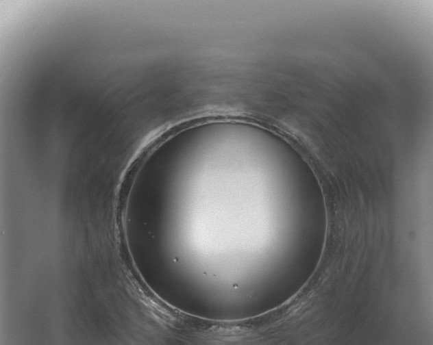 X0000068311168200604281728