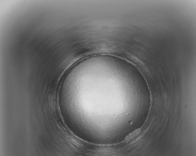 X0000068311170200604281728