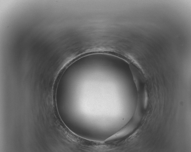 X0000068311173200604281728