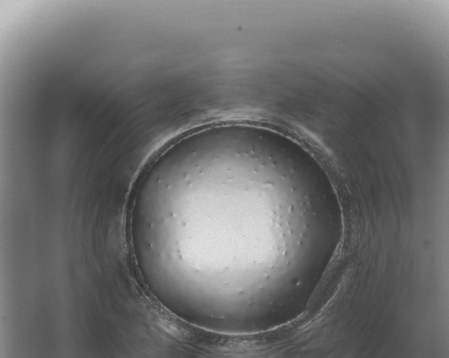 X0000068311174200604281728