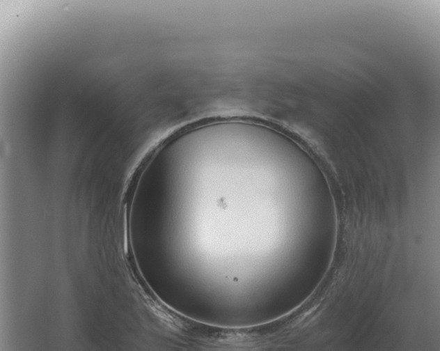 X0000068311175200604281728