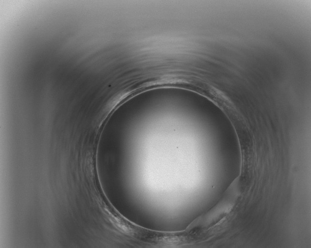 X0000068311177200604281728