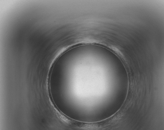 X0000068311183200604281727