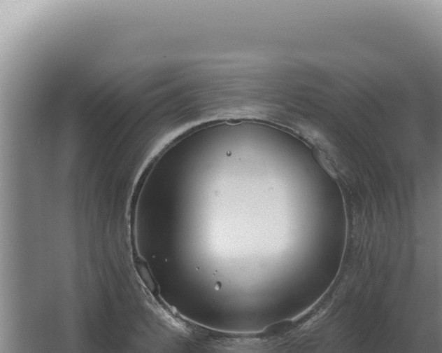 X0000068311184200604281727