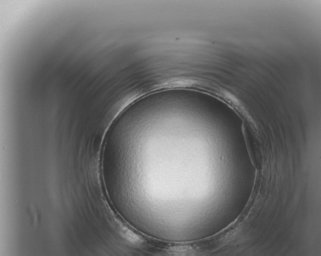 X0000068311186200604281727