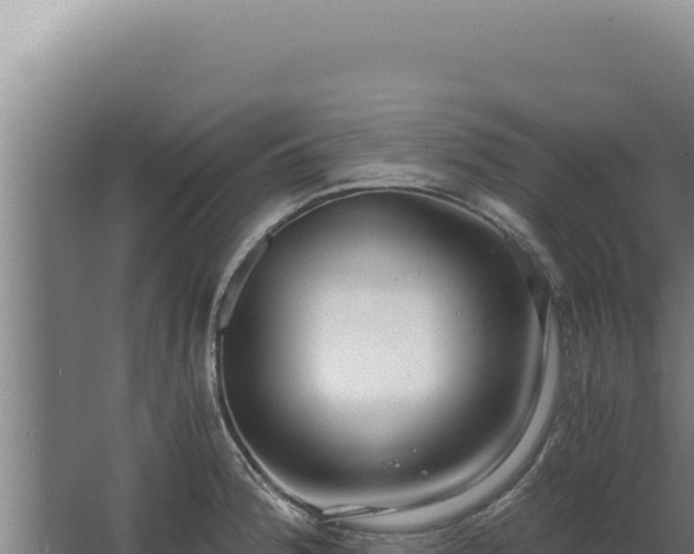 X0000068311188200604281727