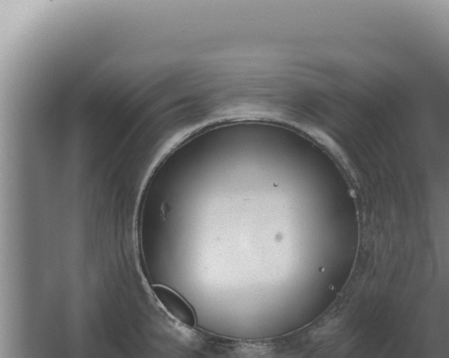 X0000068311191200604281727