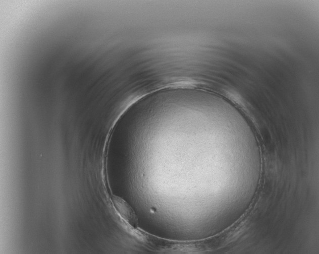 X0000068311194200604281727