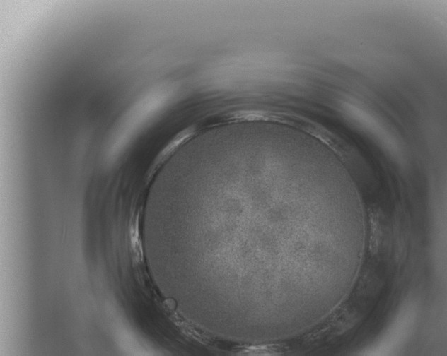 X0000068311198200604281727