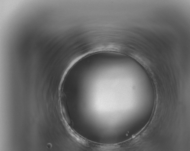 X0000068311200200604281727