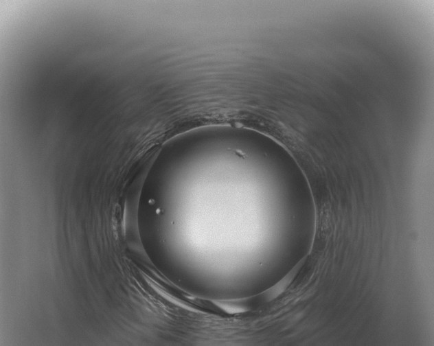 X0000068311202200604281726