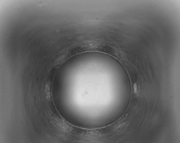 X0000068311203200604281726