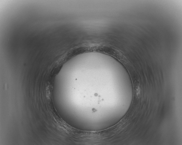 X0000068311204200604281726