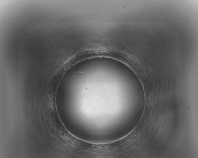 X0000068311205200604281726