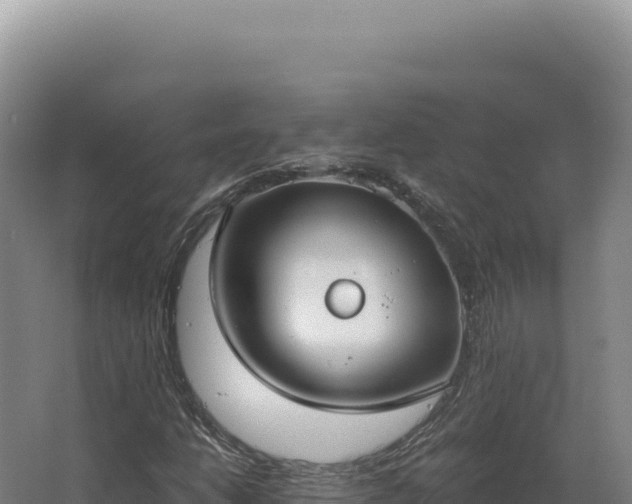 X0000068311206200604281726