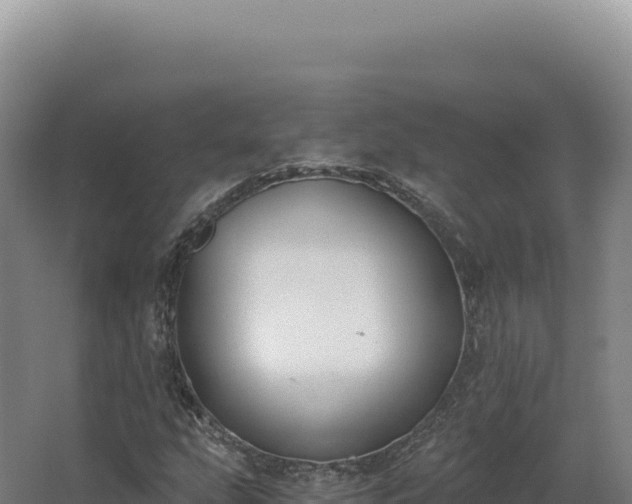 X0000068311207200604281726