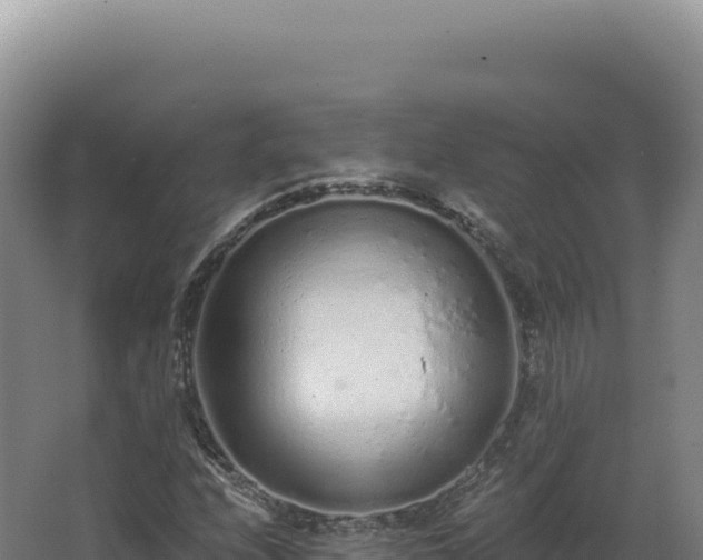 X0000068311208200604281726