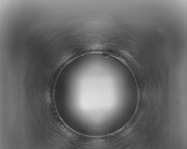 X0000068311209200604281726