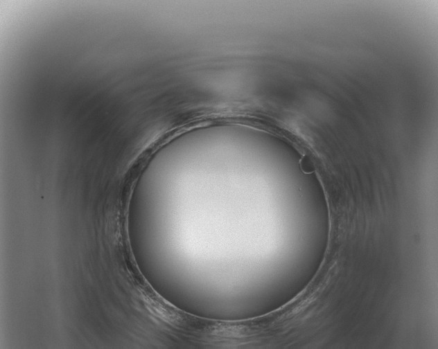 X0000068311211200604281727