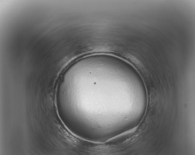 X0000068311212200604281727