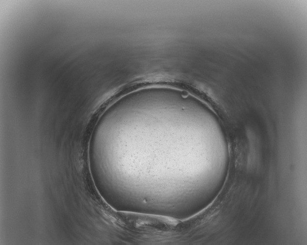 X0000068311213200604281727