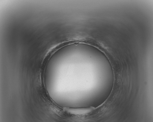 X0000068311214200604281727