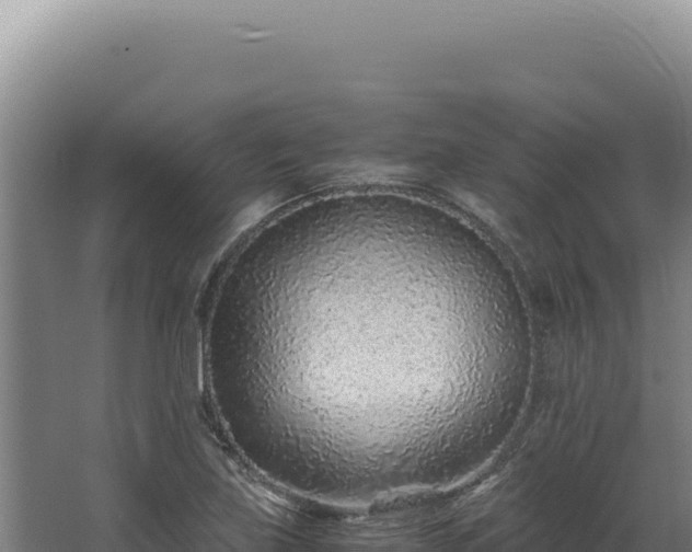 X0000068311219200604281727