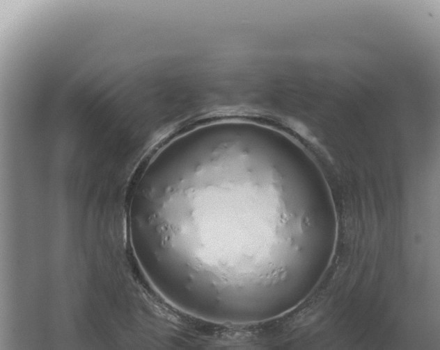 X0000068311221200604281727