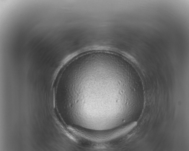 X0000068311223200604281727